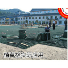 Plastic Grass Paver Grille Grid Landscape Grille Car Parking Grille